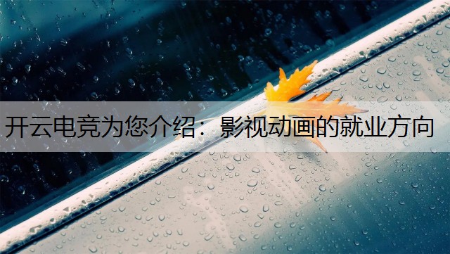 开云电竞为您介绍：影视动画的就业方向