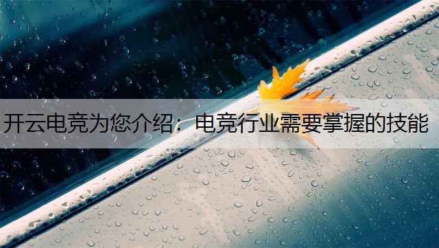 开云电竞为您介绍：电竞行业需要掌握的技能