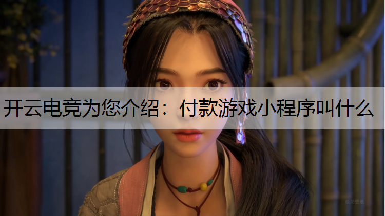 开云电竞为您介绍：付款游戏小程序叫什么