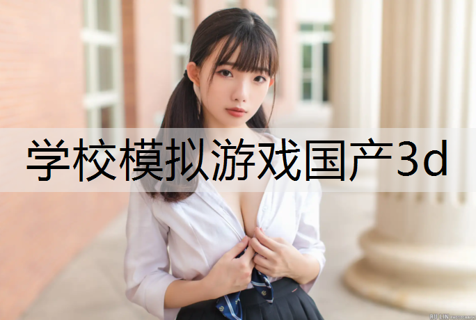 学校模拟游戏国产3d