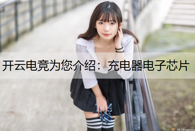 开云电竞为您介绍：充电器电子芯片