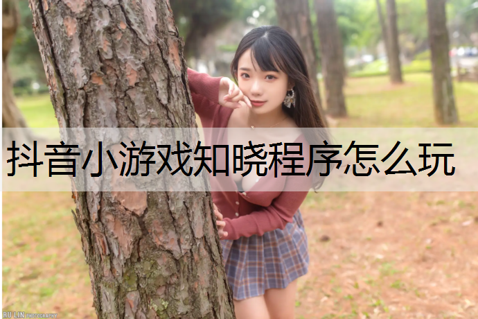 抖音小游戏知晓程序怎么玩