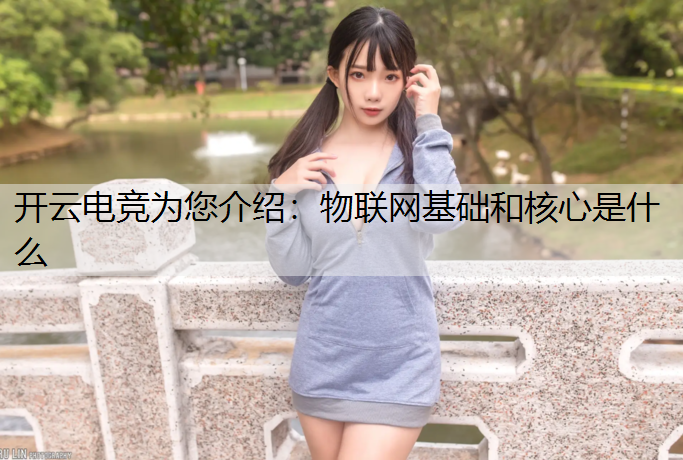 物联网基础和核心是什么