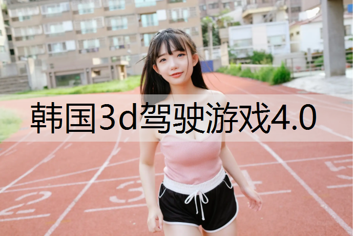 韩国3d驾驶游戏4.0
