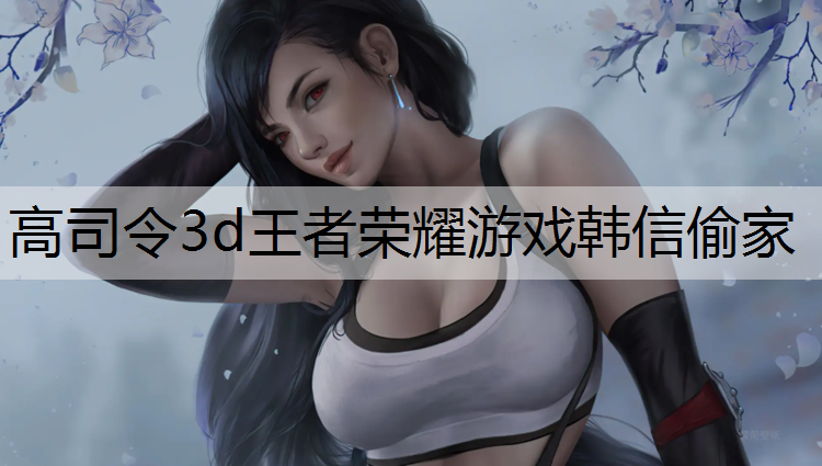 高司令3d王者荣耀游戏韩信偷家