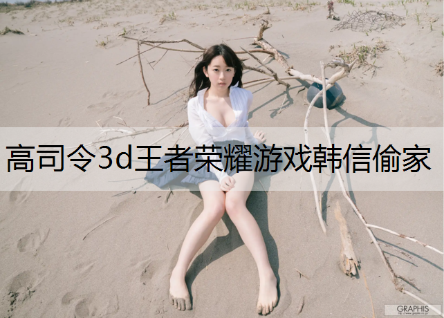 高司令3d王者荣耀游戏韩信偷家