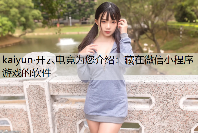 藏在微信小程序游戏的软件