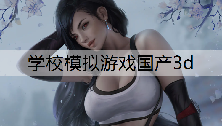 学校模拟游戏国产3d